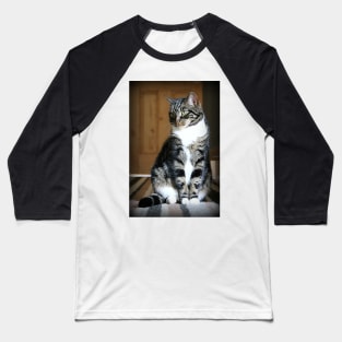 Little Miss Tilly Sitting Pretty Baseball T-Shirt